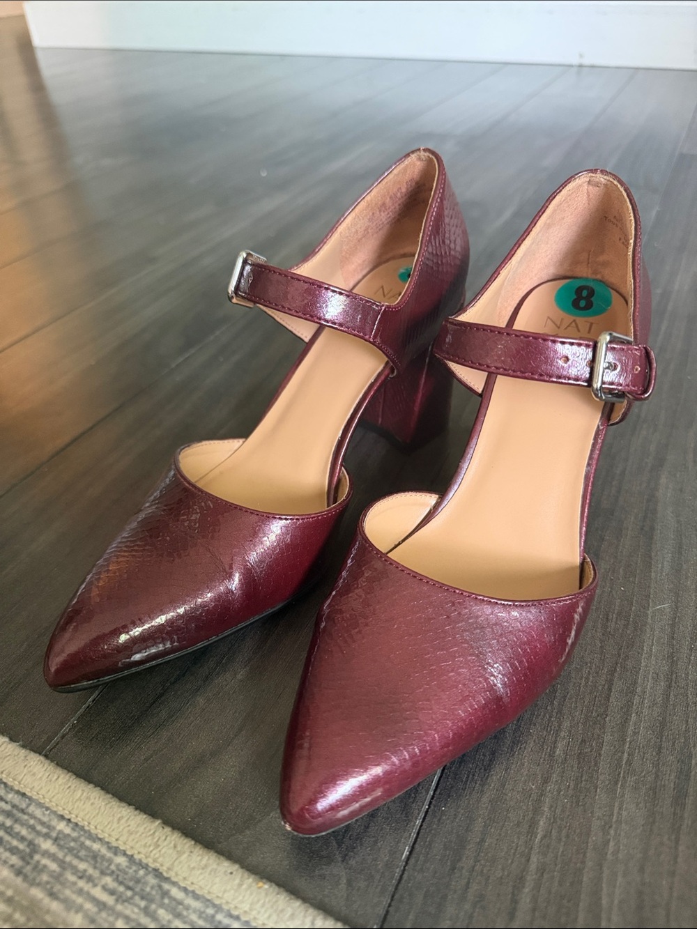 Naturalizer Burgundy Pointed Mary Jane Heels